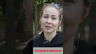 Анонс 14-08-2024
