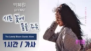 [최신가요] 박혜원 (HYNN) - 시든 꽃에 물을 주듯 (The Lonely Bloom Stands Alone) 1시간ㅣ가사 Lyrics