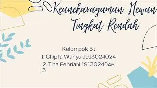 Keanekaragaman Hewan Tingkat Rendah || Tugas Biodiversitas