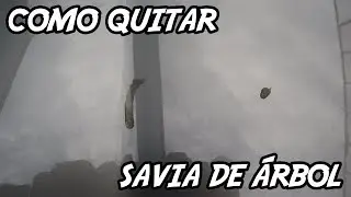 Como QUITAR la RESINA de la pintura del auto