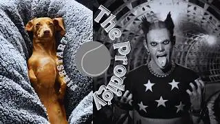 Sausage Dog Plays Catch to 'Firestarter' by The Prodigy