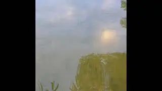 Нерест уклейки(зачем щуке клевать на блесну...)