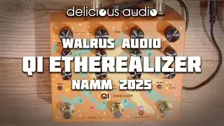 Walrus Audio - QI  Etherealizer | NAMM 2025