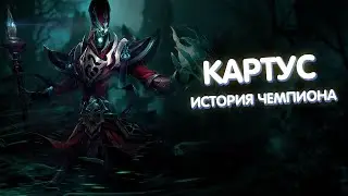 Картус - История Чемпиона