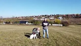 Nitra, Šúdol (Dron DJI Mini 2)