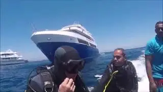 Divig safari with Barracuda.EU Dive Club.M.Y Princess Diana.