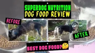 SUPERDOG NUTRITION DOG FOOD REVIEW