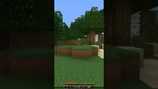 Обзор мода Showcase Item