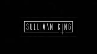 Ray Volpe - Laserbeam (Sullivan King Remix)