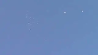 Пермские гривуны