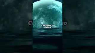 Sex Whales & Jo Cohen - We Are (Lyrics)