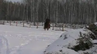 верхом на лошади