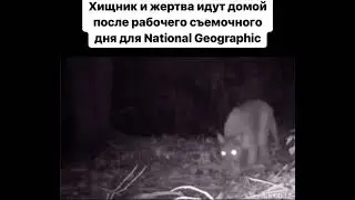 Устали наверное, хорошие актеры
