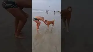 Что происходит на пляжах Гоа сейчас 