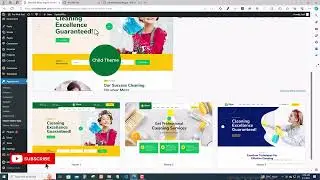 How to install activate and import demo on Cleaner Theme