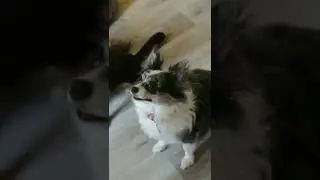 простите что так долго🥺💞