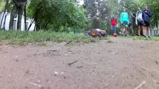 Hsp brontosaurus с бк системой