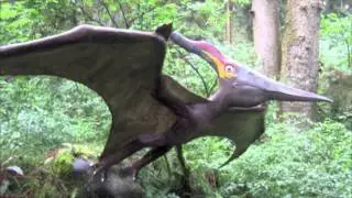 The Pterodactyl Song!