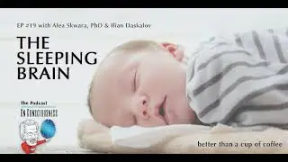 #19 — The Sleeping Brain: Better Than a Cup of Coffee