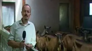 Intervista a Walter Girolamo Codato