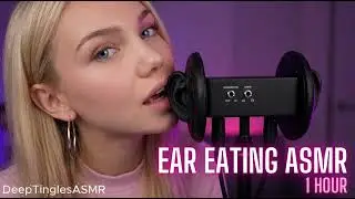 Extreme Ear Eating ASMR - Total 1 Hour Immersion (3Dio)