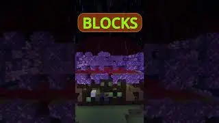 Minecraft Can You Spot Them