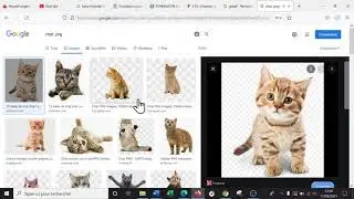 Culture informatique - les principaux formats d'image