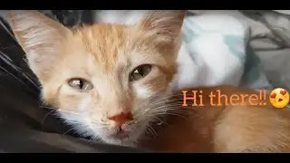 Meet Baby Mishmesh😍 & Check out Mia!