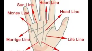 Read Your Own Palm To Predict Your Love Life | Secrets Revealed in Your Palm - How to Read Palm