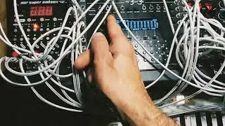 eurorack modular westlicht performer sequencer ♥️ song test