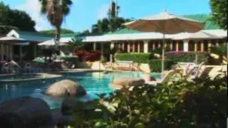 Dive Zero stops at the 