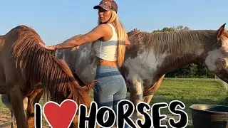 My Favorite Pastime! Horses.