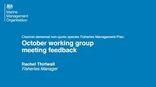 October working group meeting feedback - FMP NQS