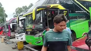 Bis stj masih bertahan dengan gebrakan turun harga