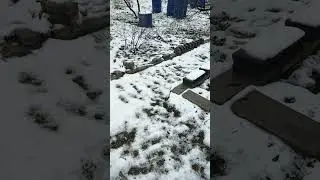 Снова про мошенников. Поймали курьера.