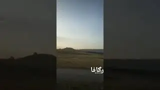ركافا