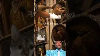 Harry,  wtf?🤣🫠#harrypotter #memes #fannyvideo #harrypotterworld #funnyvideo #picsart