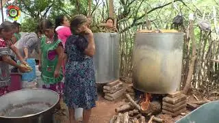PRIMERA PELICULA DE LA BODA DE LUCIANO Y GAUDELIA DE TLALCOMULCO GRO