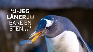 Hvis man låner noget uden at spørge... Er det så egentlig at stjæle?