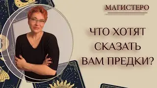 ✨ЧТО ХОТЯТ СКАЗАТЬ ВАМ ПРЕДКИ?
