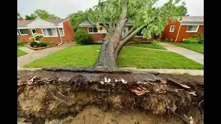 Metro Detroit storm damage: Power outages, poles and trees toppled, wires down
