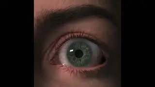 Realistic Eye Animation Process in Blender 