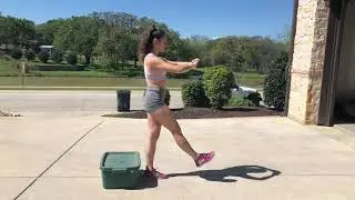 Single Leg Box Pistol Squat