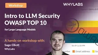 Intro to LLM Security - OWASP Top 10 for Large Language Models (LLMs)