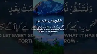 Al Quran 6