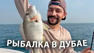 Рыбалка в Дубае. Отмечаю День Рождения!