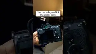The Perfect Camera Combo for Portrait and wedding photography