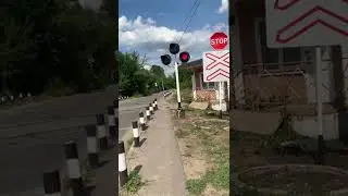 Тгм4 1954 на переезде