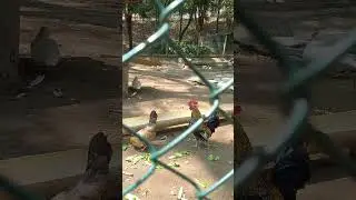 PARQUE PARA EXERCÍCIOS AO AR LIVRE