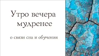 Утро вечера мудренее. О связи сна и обучения.
